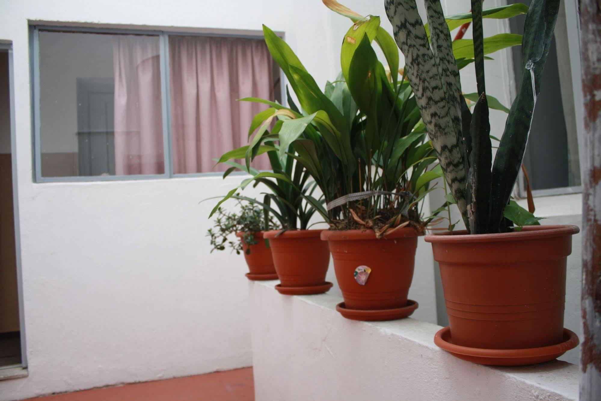Hotel Ideal Montevideo Exterior foto